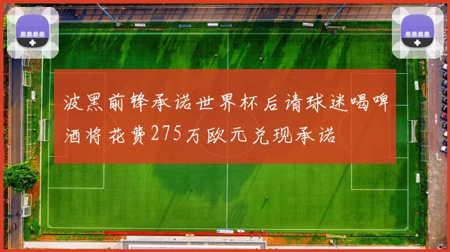波黑前锋承诺世界杯后请球迷喝啤酒将花费275万欧元兑现承诺